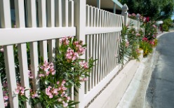 White vinyl fencing in Champaign IL with flowers hanging on it