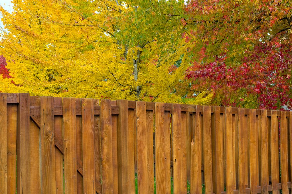 A cedar wood fence in autumn