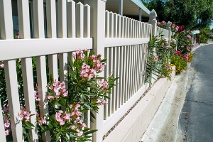 Pink Flowers Sprouting through Vinyl Fencing in Galesburg IL