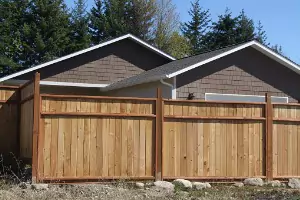 Should You Stain Your Wooden Fence